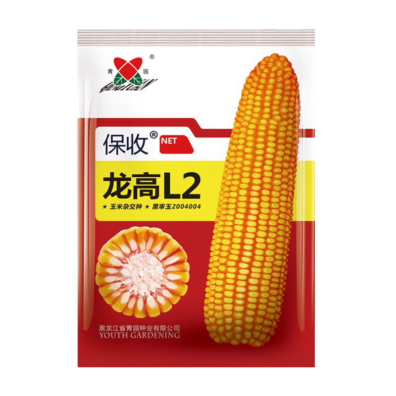 玉米种子-龙高L2