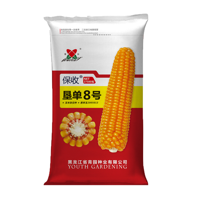 玉米种子-垦单8号